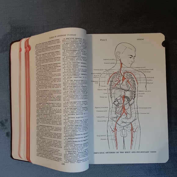 SOLD - Picture 4 of 16